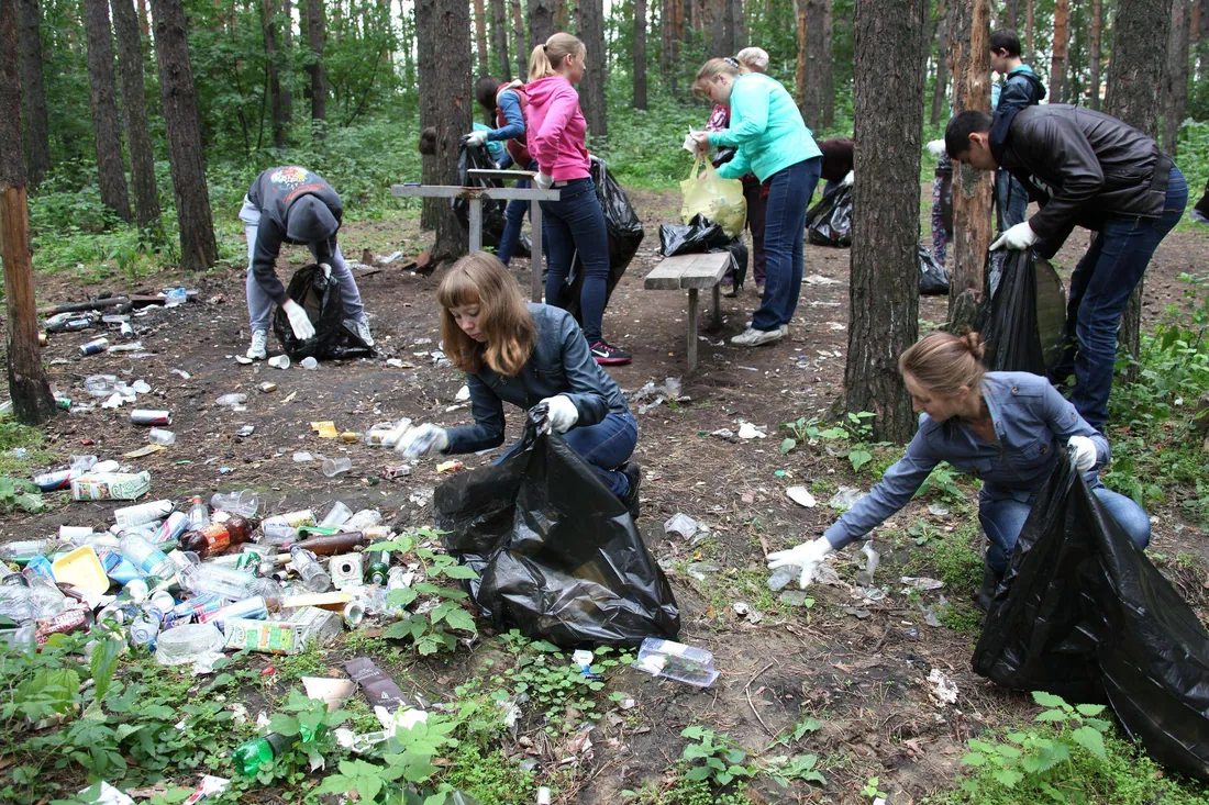 Група людей у рукавичках прибирає сміття в сосновому лісі, збирає його у чорні мішки — громадська волонтерська акція.